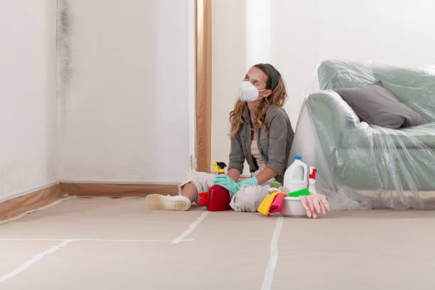 Reliable Mold Testing contractor in White Plains, MD by WQB Mold Removal